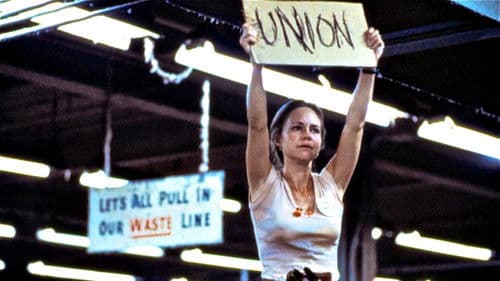 Norma Rae - Eine Frau steht ihren Mann Bild 2