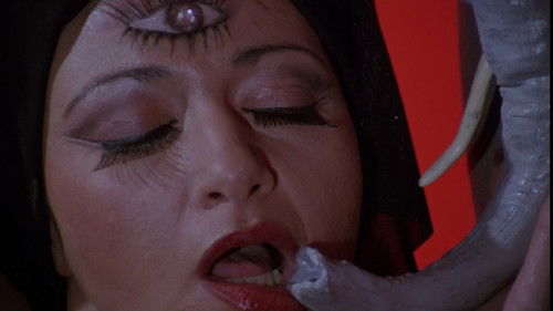 Das Frauenhaus Bild 1