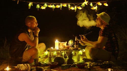 Mysko Disko: Ting Tong Trip Bild 1