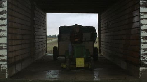 The Straight Story - Eine wahre Geschichte Bild 8