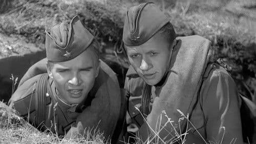 Максим Перепелица Bild 1