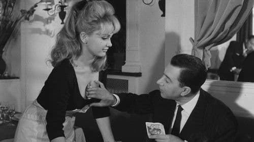 Futter für süße Vögel Bild 3