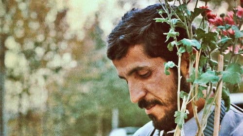 کلوزآپ ، نمای نزدیک Bild 6