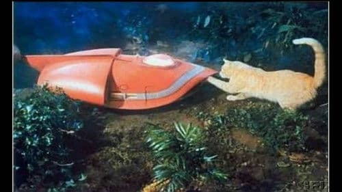 Planet der Giganten Bild 5