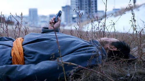 Out of Paradise Bild 3