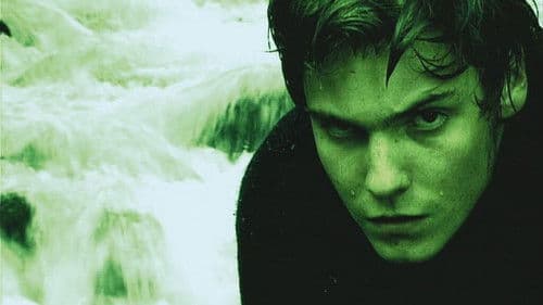 Das weisse Rauschen Bild 1