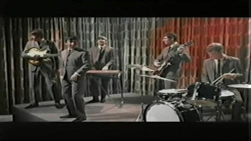 The Animals - Live Performances 1964-1998 Bild 1