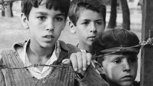 Tomka dhe shokët e tij Bild 1