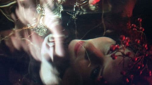 Cobblers' Lot Bild 1