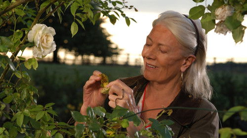 Rosamunde Pilcher: Die Muschelsucher Bild 8