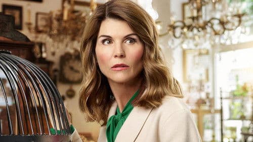 Garage Sale Mysteries: Searched & Seized Bild 1