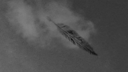 Лист без адресата Bild 1