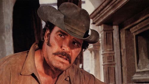 Der Einsame aus dem Westen Bild 1