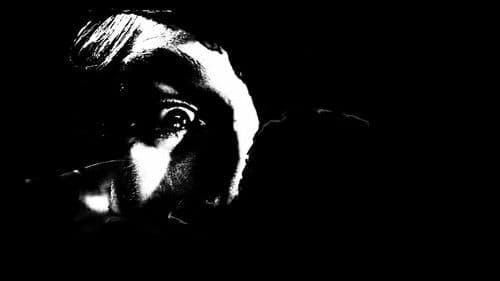 The Hollow Rabbit Bild 2