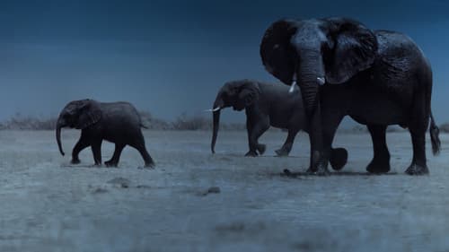 Die Erde bei Nacht Bild 1