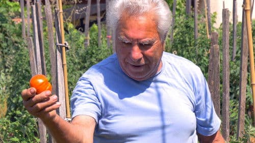 Le potager de mon grand-père Bild 3