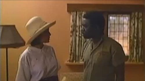 The Midday Sun Bild 2