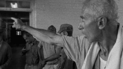 Titicut Follies Bild 3