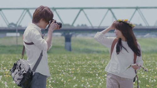 植物図鑑 運命の恋、ひろいました Bild 2