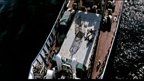 Deadly Cargo - Tod auf dem Meer Bild 1