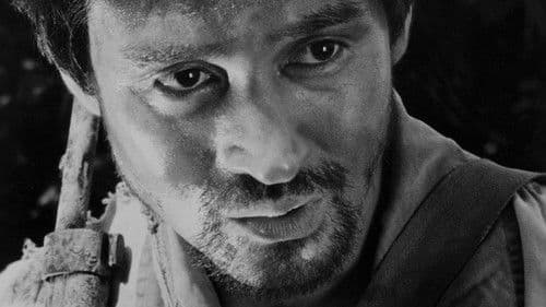 Nobi - Rauchsäulen Bild 4