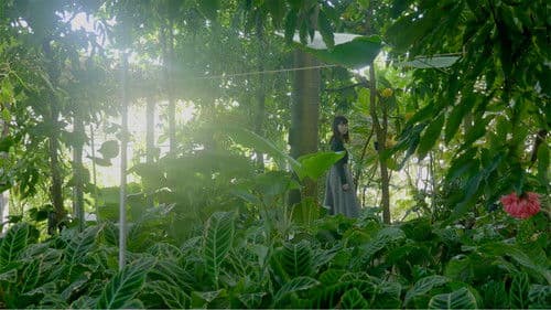 散歩する植物 Bild 1