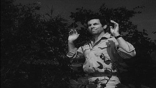 Das Geheimnis der Anden Bild 4