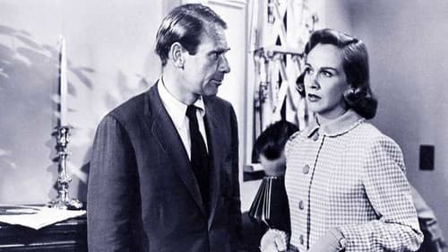 Bermuda Affair Bild 1