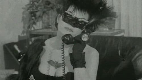 The Wild World of Batwoman Bild 1