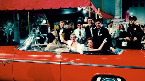 Alles um Anita Bild 2