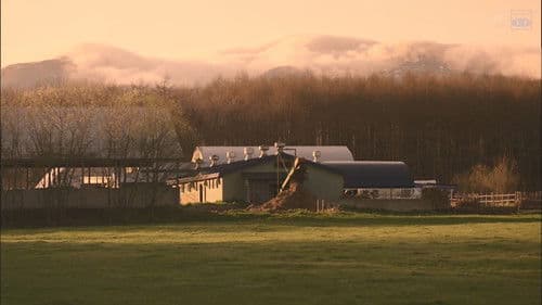 遙かなる山の呼び声 Bild 2