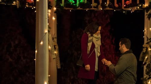 A Family for the Holidays Bild 2