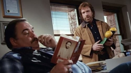 Walker, Texas Ranger: One Riot, One Ranger Bild 1