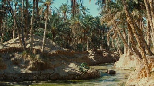 Zaa, petit chameau blanc Bild 1