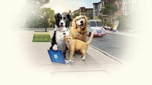 Cats & Dogs 3 - Pfoten vereint! Bild 1