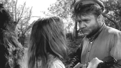 Донская повесть Bild 1