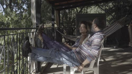 The cats, the sea, and everything in between. Bild 1