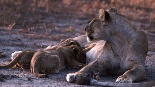 Brutal Killers Bild 1