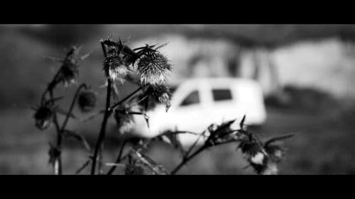 No Man's Land Bild 1