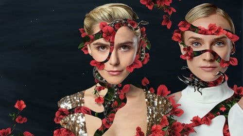 Swimming with Sharks Bild 5