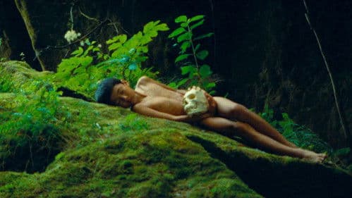 アンモナイトのささやきを聞いた Bild 3