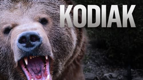 Kodiak Bild 2