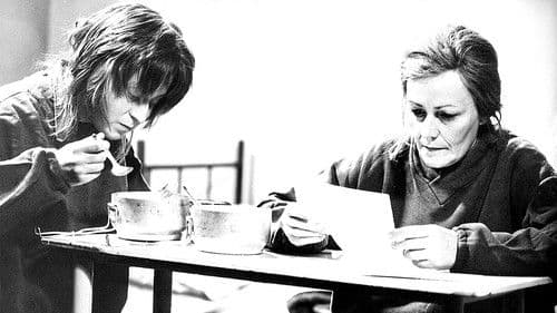 Zatmění všech sluncí Bild 1