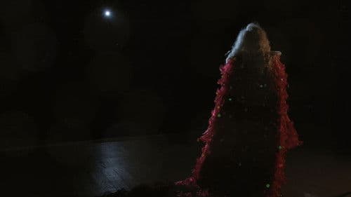 Esta Mulher É um Homem Bild 1