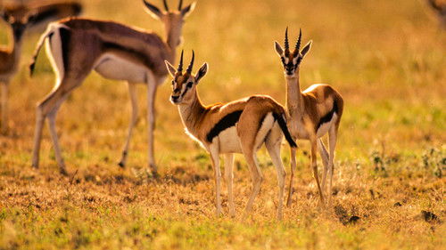 Naturparadiese am Äquator Bild 6