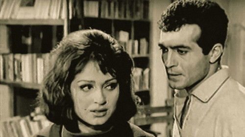 Aşk Yarışı Bild 3