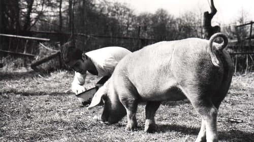 Vase de Noces Bild 2