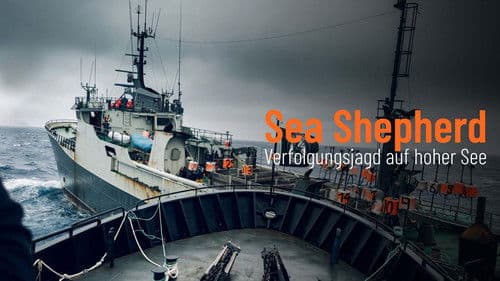 Sea Shepherd - Verfolgungsjagd auf hoher See Bild 1
