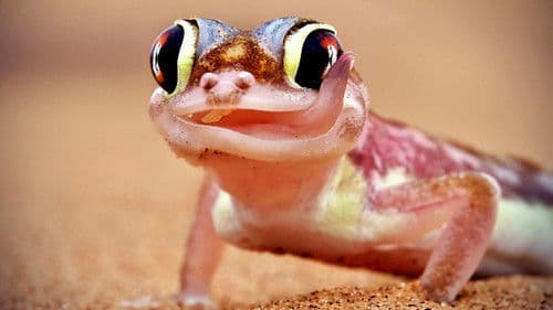 24 Stunden Wildnis Bild 1