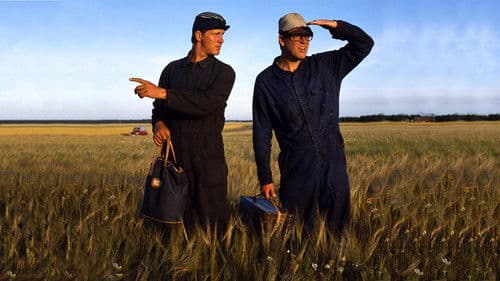 Macken - Roy's & Roger's Bilservice Bild 2